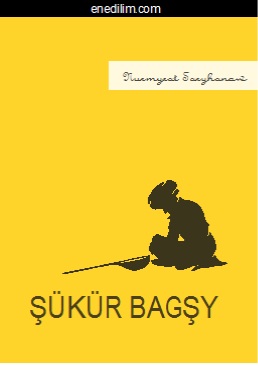 Sukur-bagsy